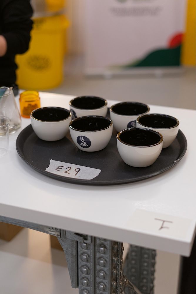 Brewing Championship - SCA Spain, imagen 6 de 10
