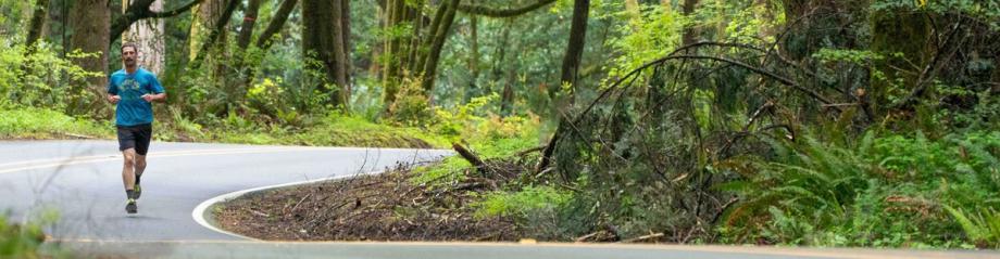 A man runs along a curving forest road during the Roseburg to Coos Bay Relay.