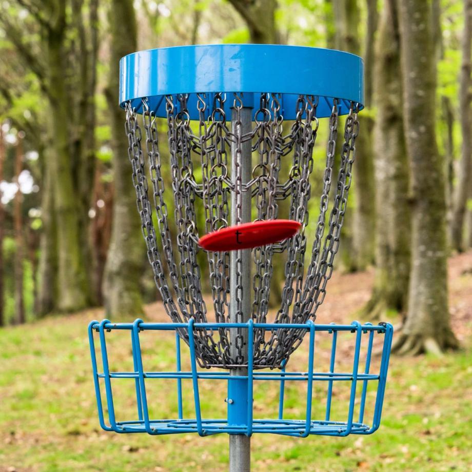A red disc golf frisbee is caught in the chains of a blue disc golf basket, set in a wooded park.