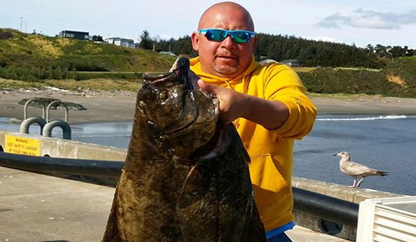 man wearing sunglasses and yellow sweatshirt holding up a giant halibut while standing on a dock
