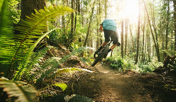 Mountain biking on the South Coast.