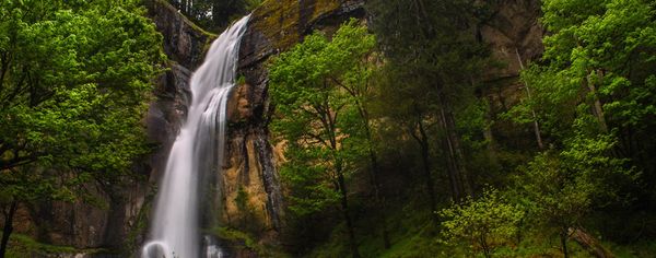 A tall waterfall cascades down a mossy rock cliff surrounded by lush green forest at Golden and Silver Falls.