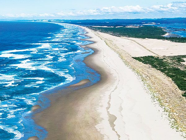 Aerial view of a long, sweeping coastline with bright blue ocean waves breaking onto a wide sandy beach, bordered by sand dunes and green vegetation stretching into the distance
