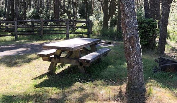 Wild Mare Horse Camp at Horsfall in North Bend, OR