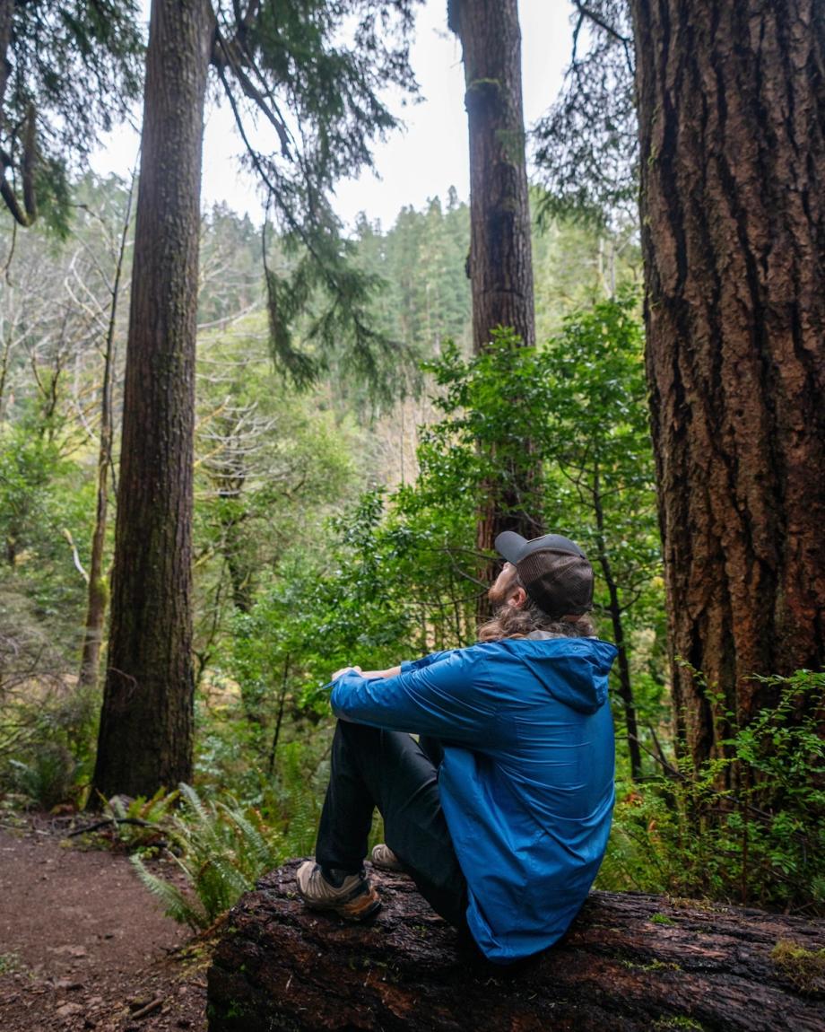 A man wearing a blue jacket and hat sits on a fallen log in a lush forest, looking up at tall evergreen trees surrounded by dense greenery and ferns along a wooded trail during a visit to Oregon's Adventure Coast: Coos Bay, North Bend, Charleston.