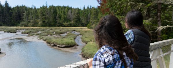 Two people lean on a boardwalk railing overlooking a grassy marsh and winding waterway surrounded by forest at Bluebill Trail.