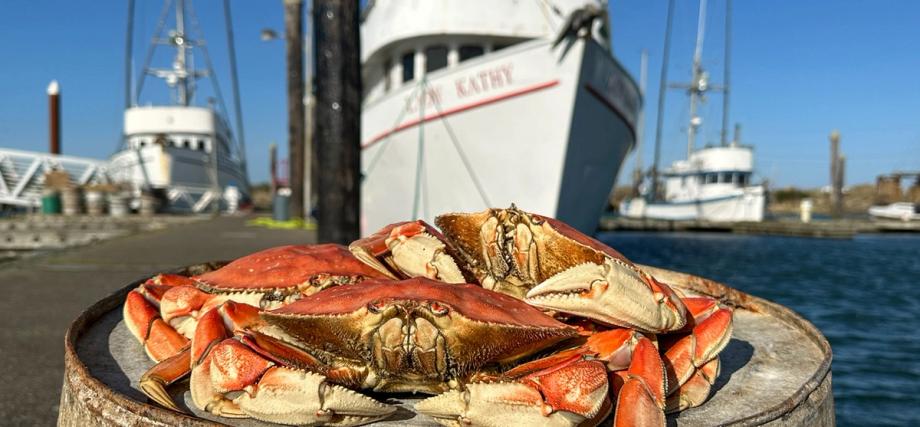 Whole Dungeness crabs piled on a wooden piling with commercial fishing boats docked behind.