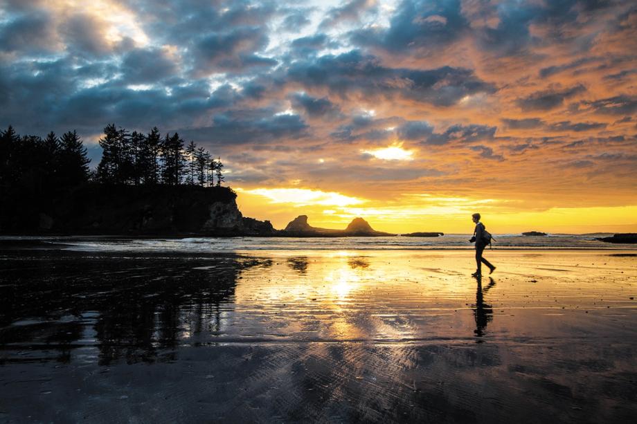 A person walks along the wet, reflective shoreline at Sunset Bay State Park during a dramatic golden sunset, with silhouetted trees, coastal rock formations, and a vibrant orange and blue sky reflected in the sand.