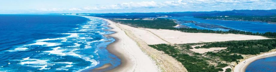 Aerial view of Horsfall Beach stretching along the Oregon coast, with rolling surf on the left, expansive white sand dunes in the center, and forested wetlands.
