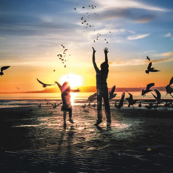Two people silhouetted against a sunset on Sunset Beach, tossing food to a flock of seagulls