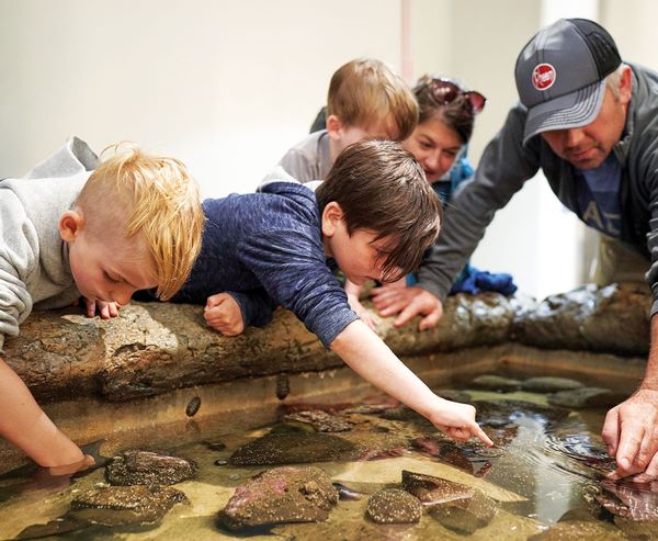 1. marine-life-center-mosaic-4-of-12.jpg alt="Children and an adult lean over a touch tank at the Charleston Marine Life Center, reaching into the water to explore tide pool creatures up close.