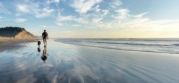 A man and dog walk along a reflective wet beach with ocean waves and a partly cloudy sky