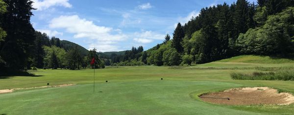 A golf green with a red flag and sand bunker, framed by a tree-lined fairway and forested hills at Sunset Bay Golf Course.