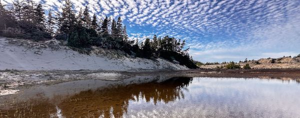 A calm pond at the base of a sand dune reflects a stand of evergreen trees and a sky filled with rippled clouds at Oregon Dunes National Recreation Area.