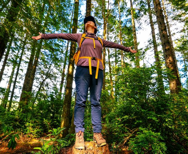 A hiker with a backpack stands on a tree stump in a tall coastal forest, arms outstretched and face raised toward the sky.