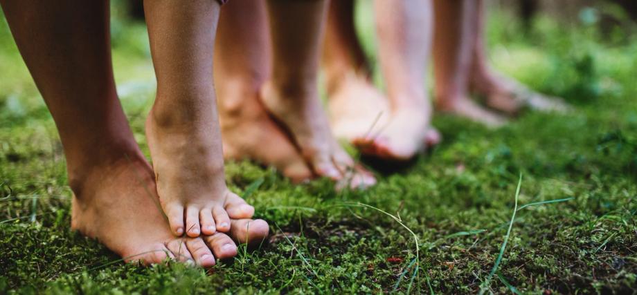 Bare feet of several people standing on a mossy forest floor, connecting with nature.