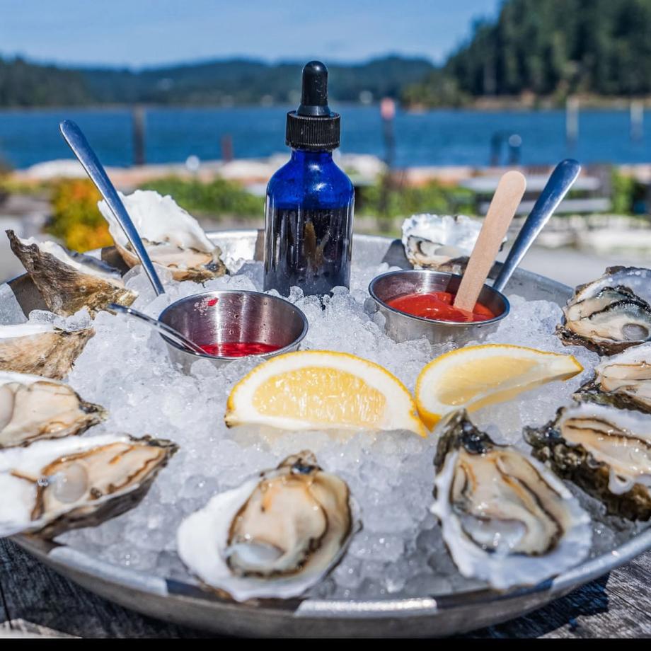 Fresh raw oysters on ice arranged around lemon wedges and dipping sauces on a platter, with a scenic bay and forested shoreline in the background.
