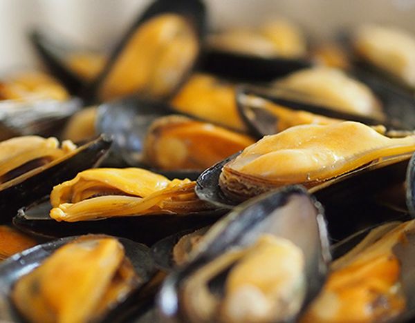 A close-up of freshly steamed mussels opened to reveal their golden flesh.