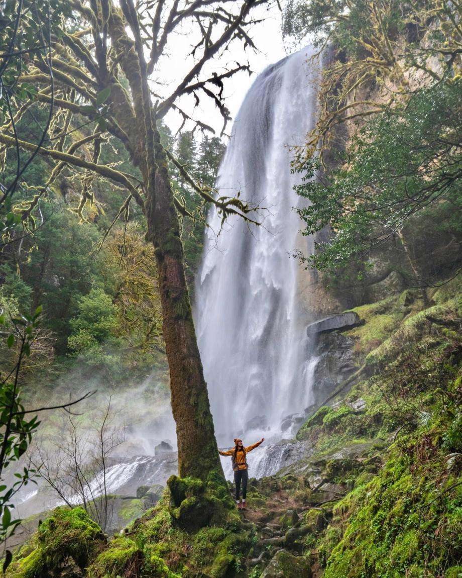 Hiker in a yellow jacket near the base of Silver Falls in Golden and Silver Falls Natural Area, with a tall waterfall cascading through lush forest in Coos County, Oregon.