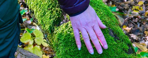 A hand resting on a vibrant moss-covered log on the forest floor, connecting mindfully with nature.