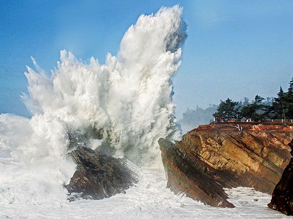 A massive wave explodes against the rocky cliffs at Shore Acres State Park on the Oregon Coast