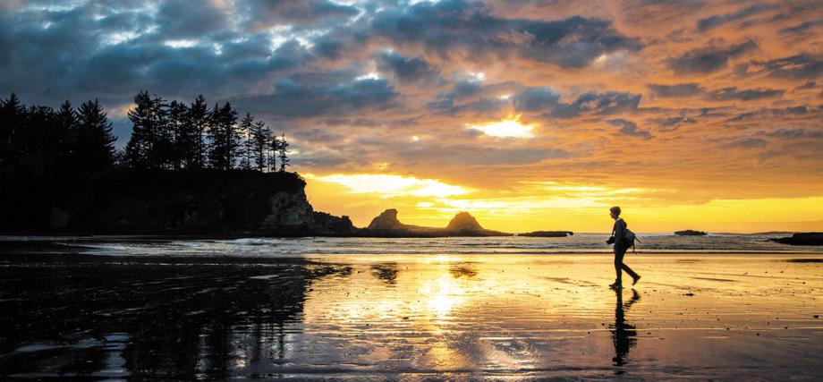 A lone beachcomber walks the wet sand at Sunset Bay State Park as golden sunset light reflects off the tide-flattened beach, with sea stacks and silhouetted conifers in the background.