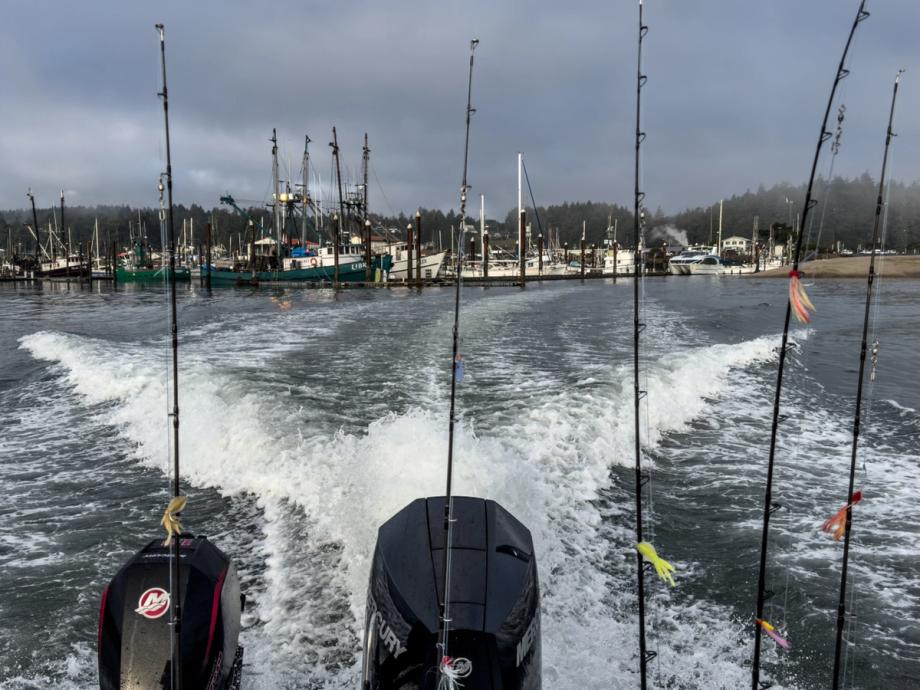 View from the back of a fishing boat with rods and colorful lures in the foreground, twin outboard motors churning white wake, and a marina with docked fishing boats in the distance under cloudy skies.