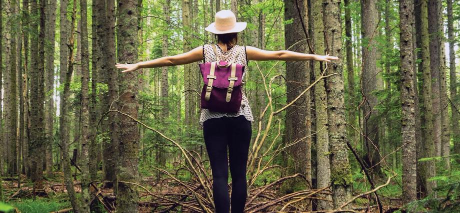 alt="A woman with a backpack and wide-brimmed hat stands among tall forest trees with arms outstretched, taking in her natural surroundings.