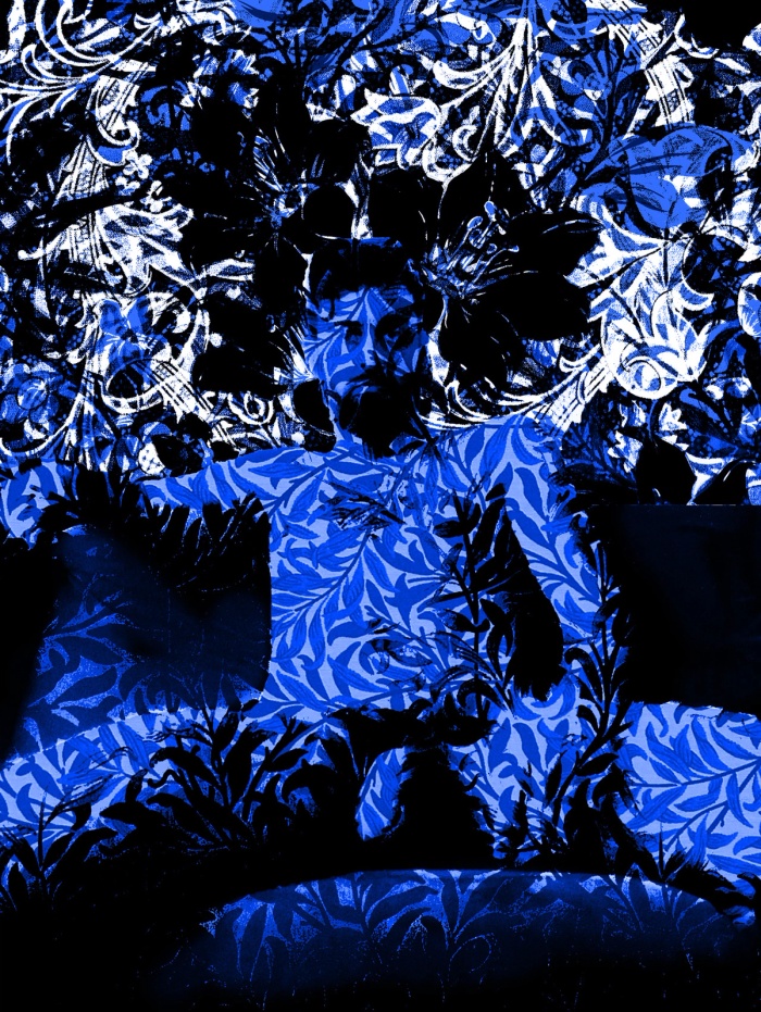 Kyle Anderson 002, image 3
