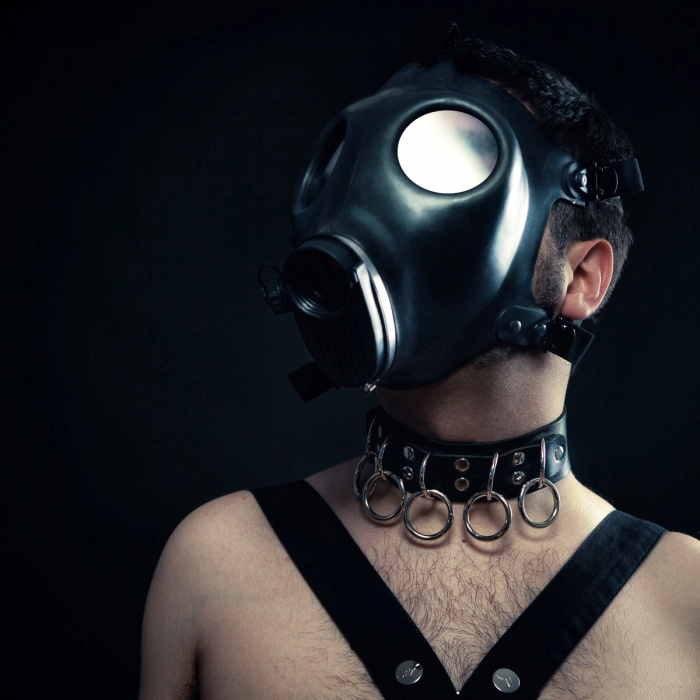Collared, image 4