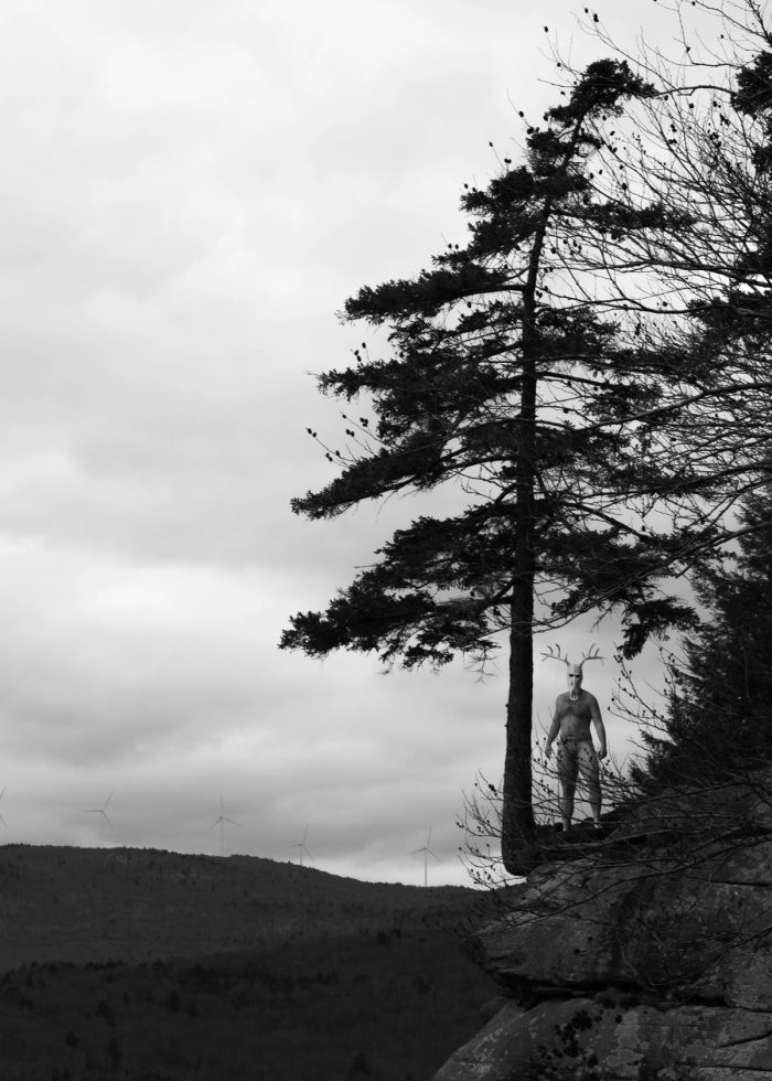 New England Cryptid, image 1