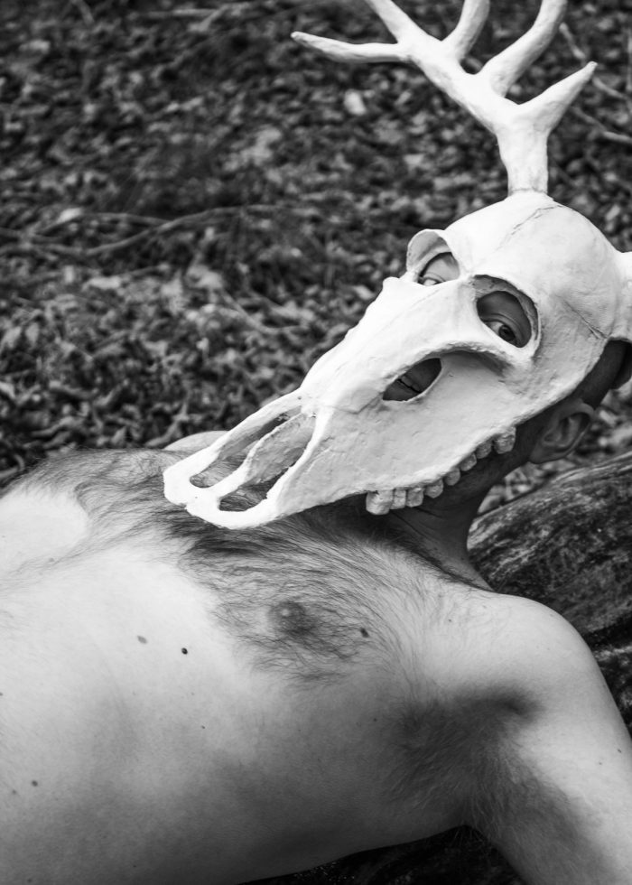 New England Cryptid, image 8