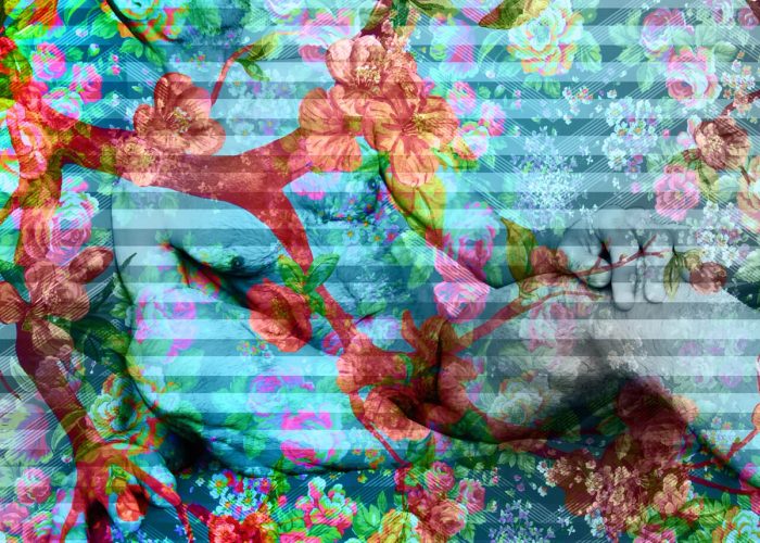 Flawed Hope 001, image 2
