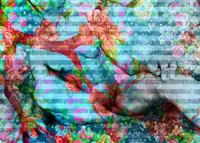 Flawed Hope 001, image 2