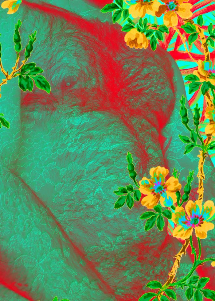 Zach Brunner 001, image 3