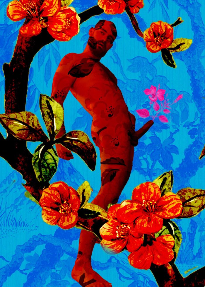 Andie 001, image 1