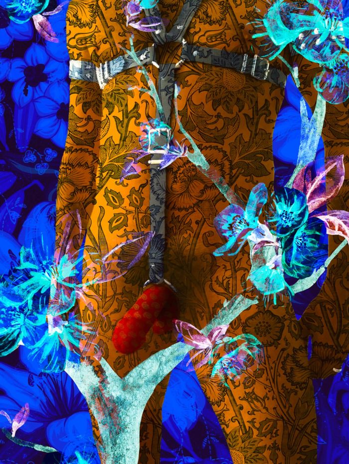 Kyle Anderson 005, image 3