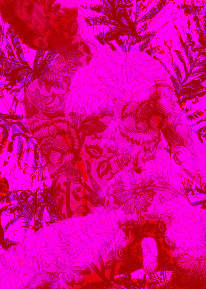 JJ 001, image 4