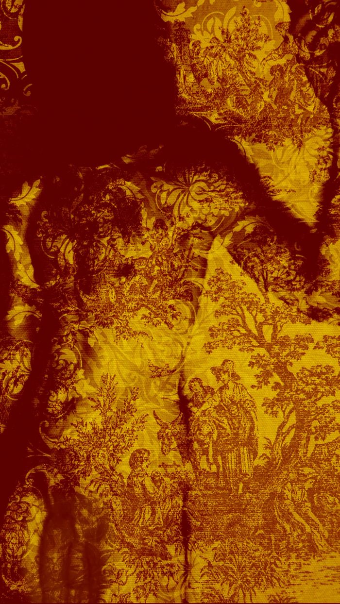 Fedya Ili 001, image 4