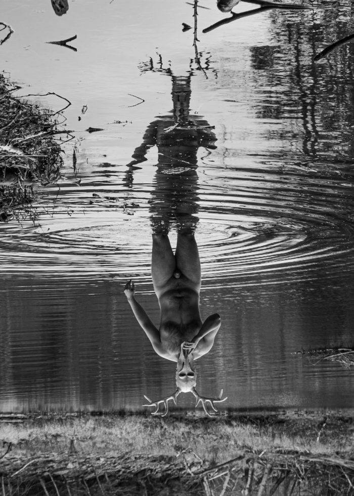 New England Cryptid, image 6