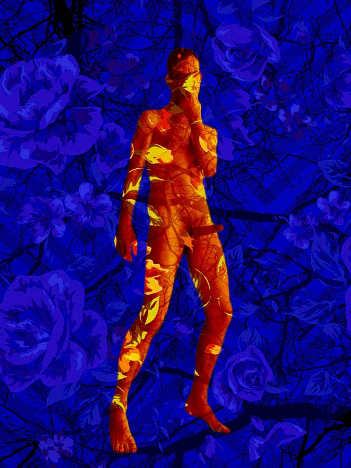 Jomeo 001, image 2
