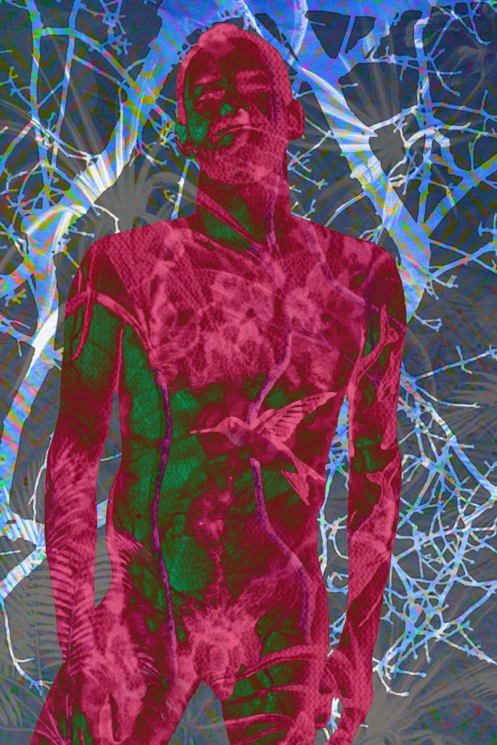 Robert Joseph 001, image 4