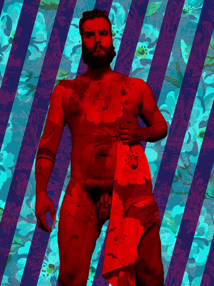 domisadog 001, image 3