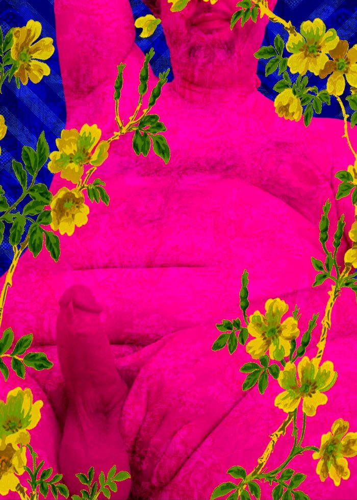Pink Oscar 004, image 2