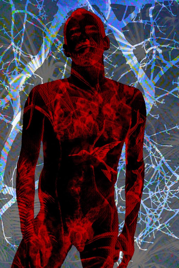 Robert Joseph 001, image 5