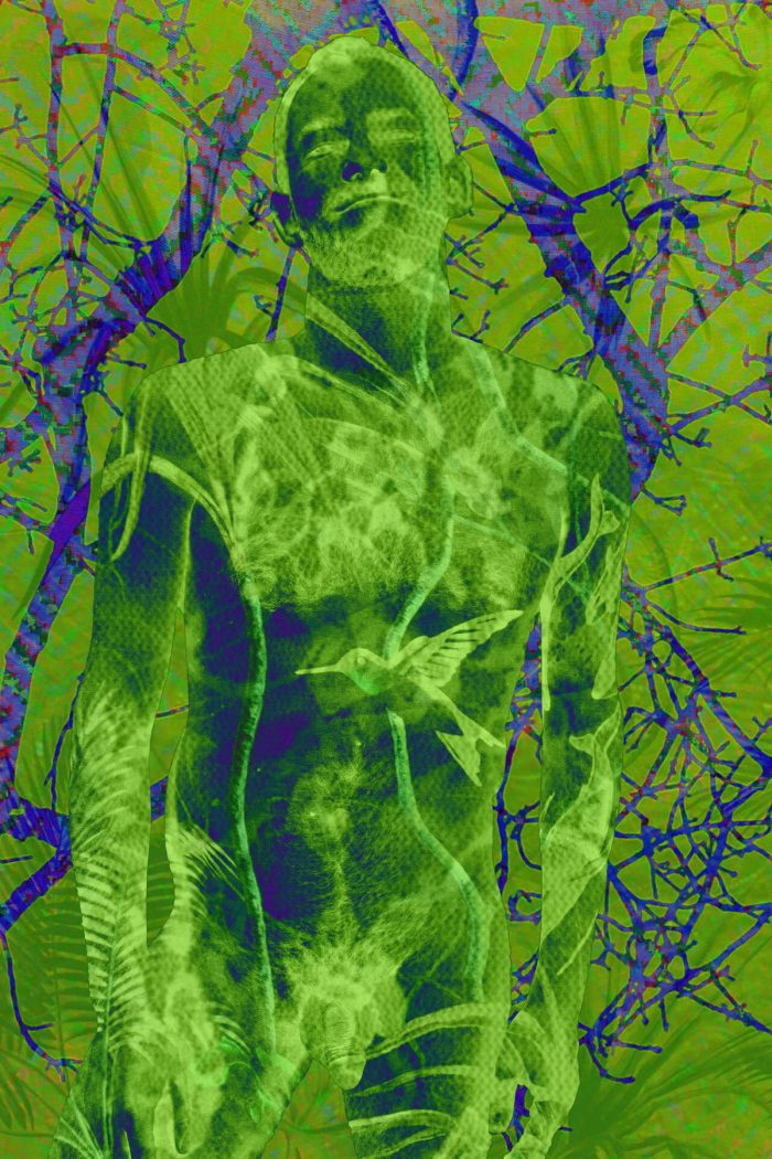 Robert Joseph 001, image 3