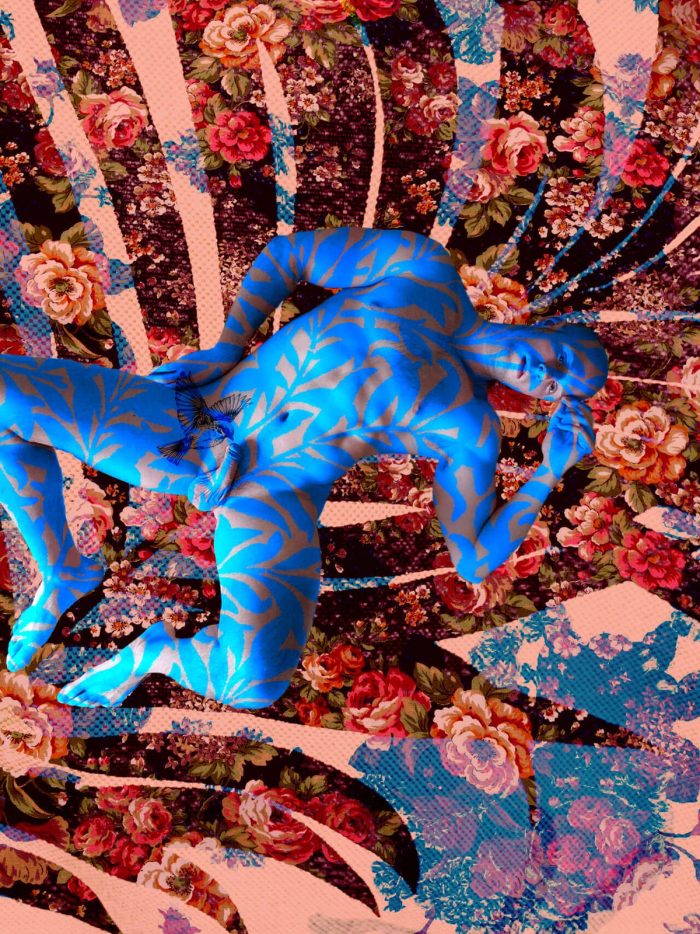 Emil Jameson 001, image 4
