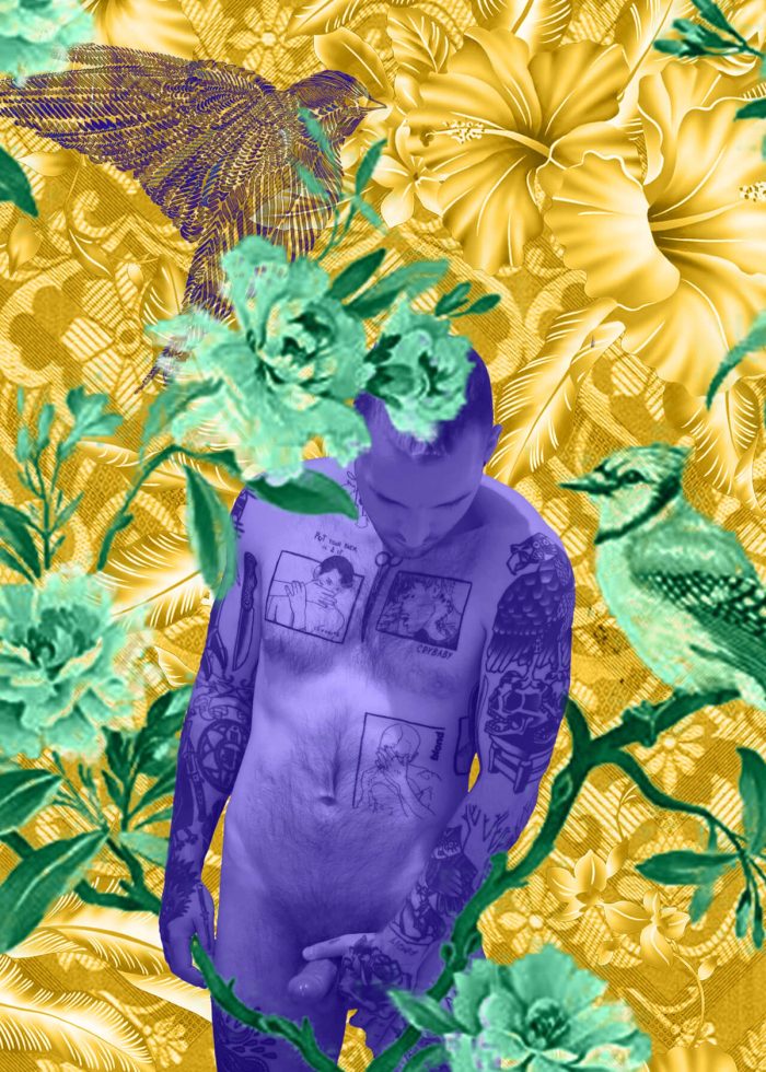 Jason Wolfe 001, image 3