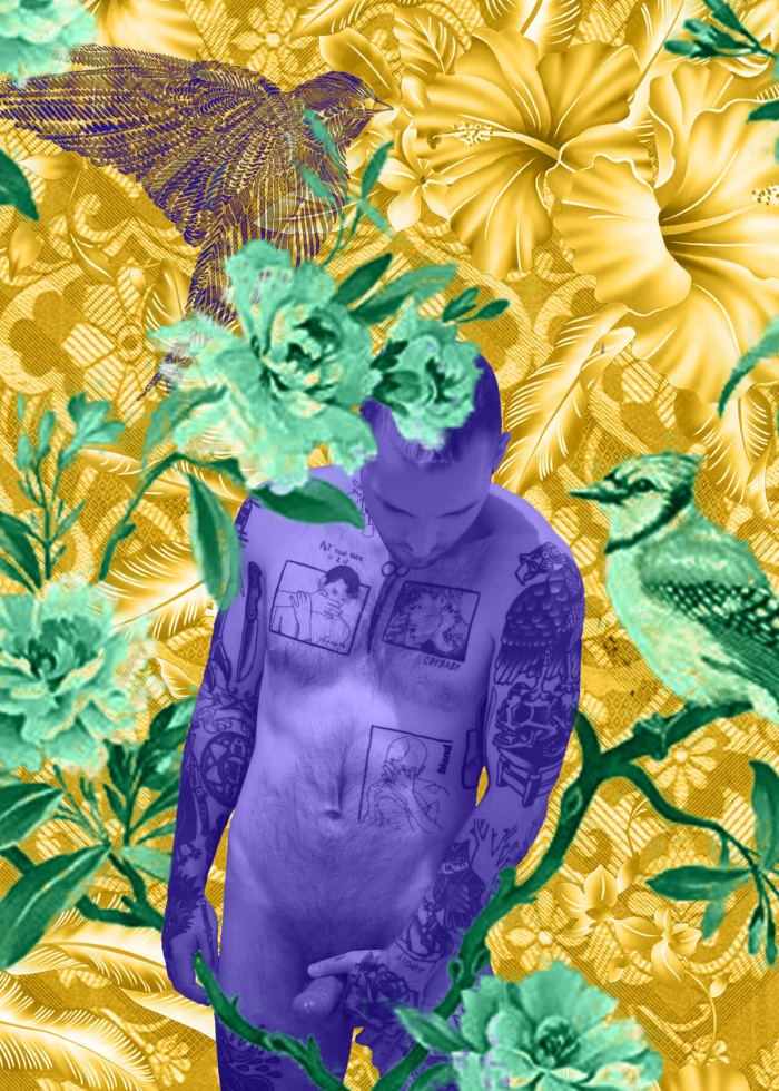Jason Wolfe 001, image 3