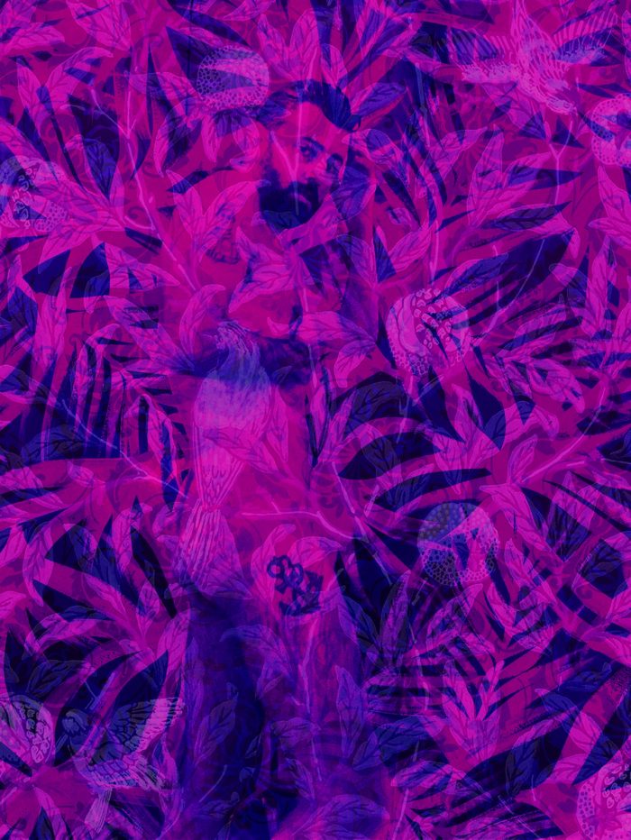 Kyle Anderson 002, image 1